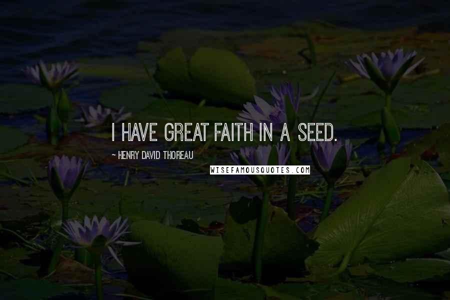 Henry David Thoreau Quotes: I have great faith in a seed.