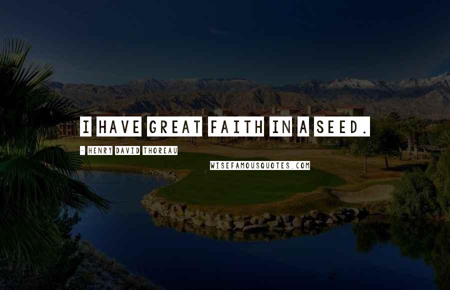 Henry David Thoreau Quotes: I have great faith in a seed.