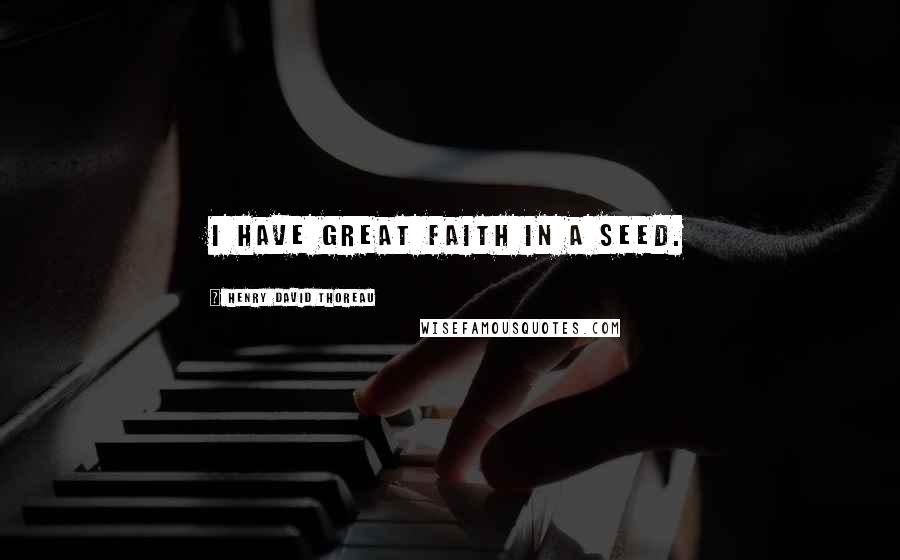 Henry David Thoreau Quotes: I have great faith in a seed.