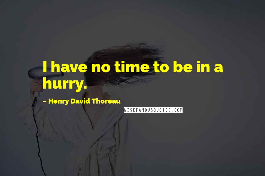 Henry David Thoreau Quotes: I have no time to be in a hurry.