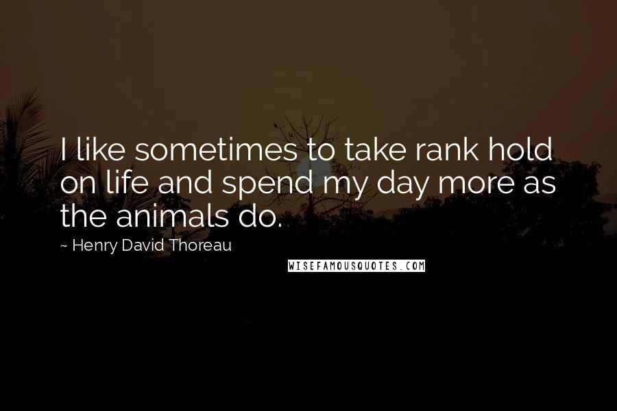 Henry David Thoreau Quotes: I like sometimes to take rank hold on life and spend my day more as the animals do.