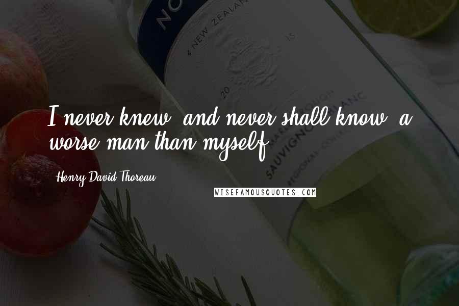 Henry David Thoreau Quotes: I never knew, and never shall know, a worse man than myself.