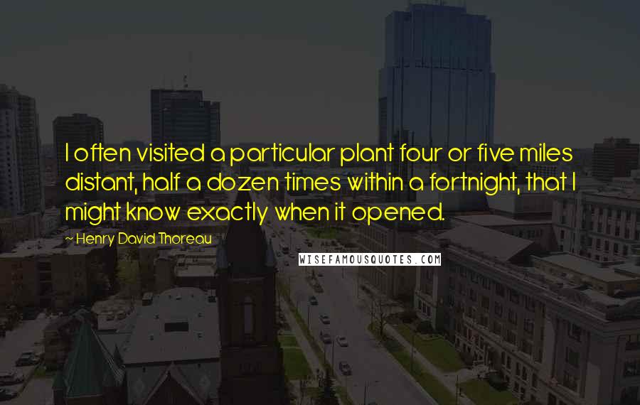 Henry David Thoreau Quotes: I often visited a particular plant four or five miles distant, half a dozen times within a fortnight, that I might know exactly when it opened.