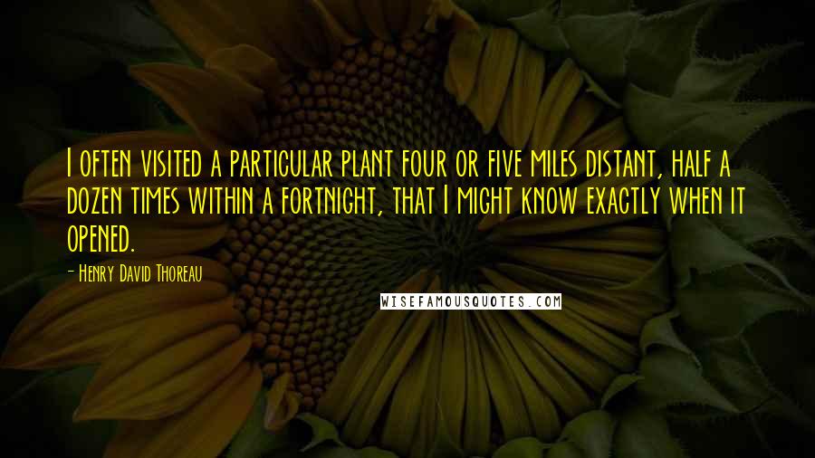 Henry David Thoreau Quotes: I often visited a particular plant four or five miles distant, half a dozen times within a fortnight, that I might know exactly when it opened.