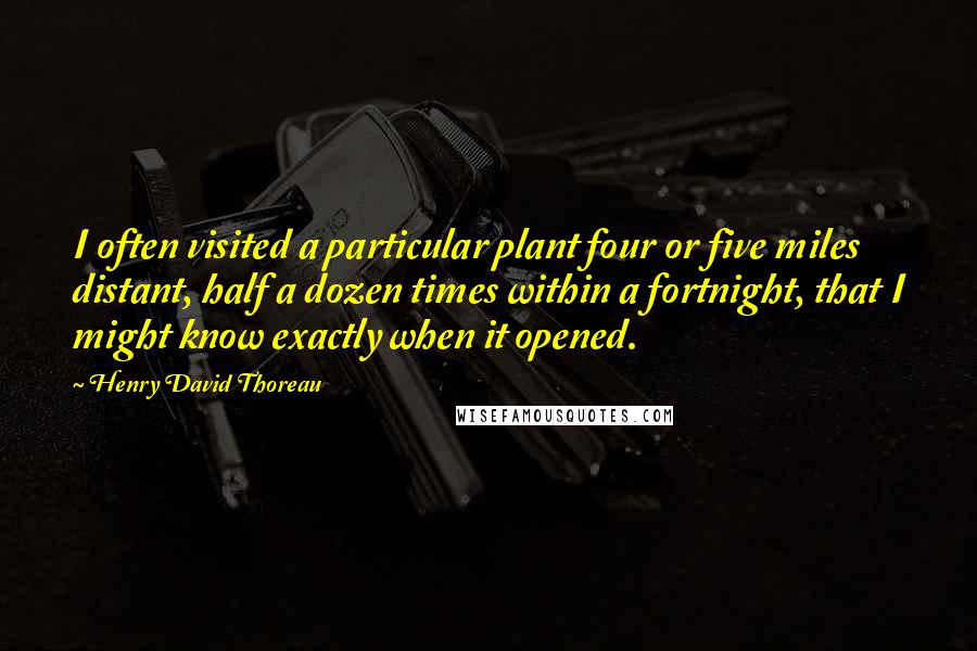 Henry David Thoreau Quotes: I often visited a particular plant four or five miles distant, half a dozen times within a fortnight, that I might know exactly when it opened.