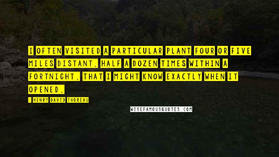 Henry David Thoreau Quotes: I often visited a particular plant four or five miles distant, half a dozen times within a fortnight, that I might know exactly when it opened.