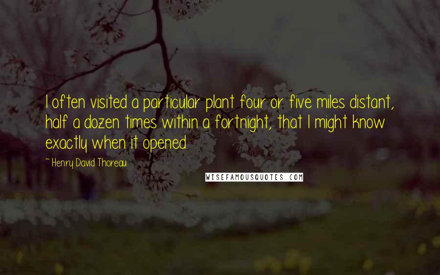 Henry David Thoreau Quotes: I often visited a particular plant four or five miles distant, half a dozen times within a fortnight, that I might know exactly when it opened.