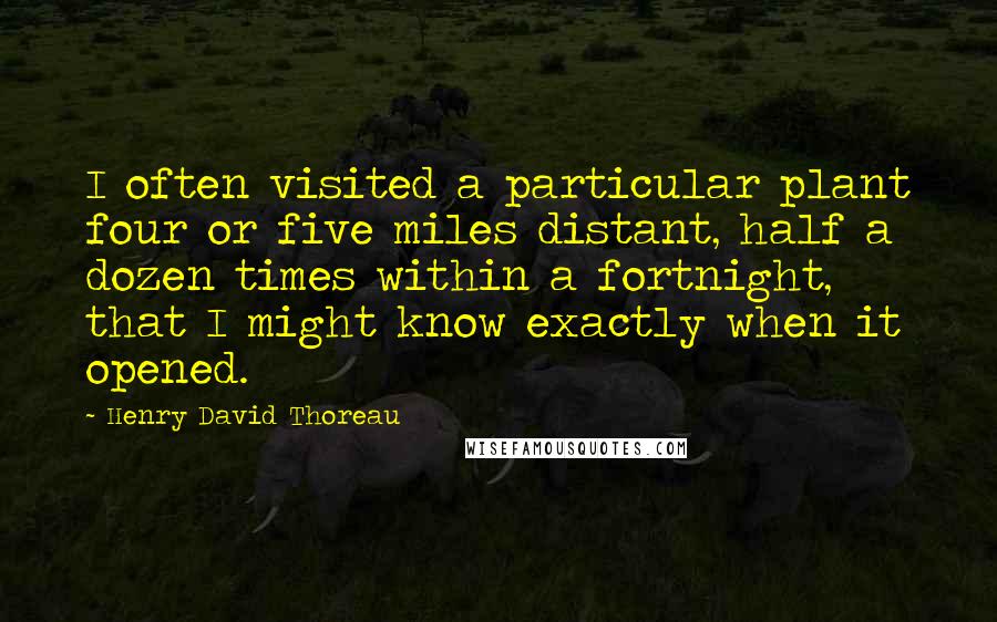 Henry David Thoreau Quotes: I often visited a particular plant four or five miles distant, half a dozen times within a fortnight, that I might know exactly when it opened.