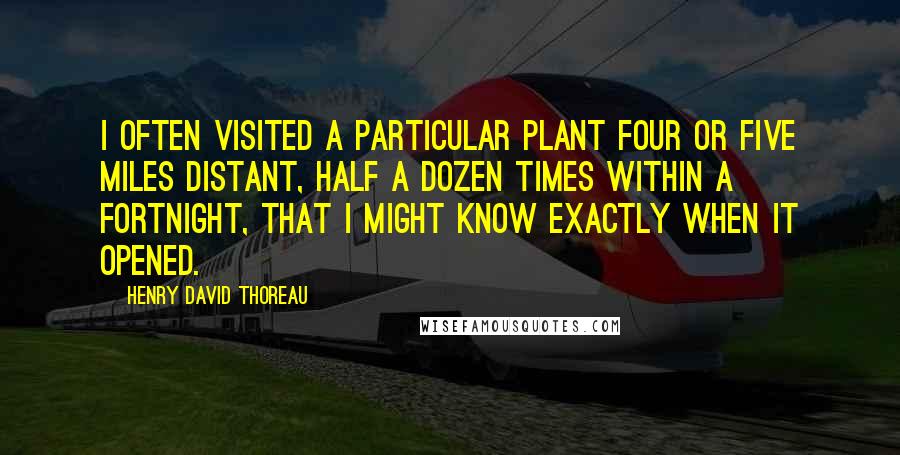 Henry David Thoreau Quotes: I often visited a particular plant four or five miles distant, half a dozen times within a fortnight, that I might know exactly when it opened.