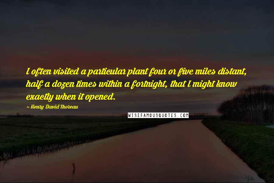 Henry David Thoreau Quotes: I often visited a particular plant four or five miles distant, half a dozen times within a fortnight, that I might know exactly when it opened.