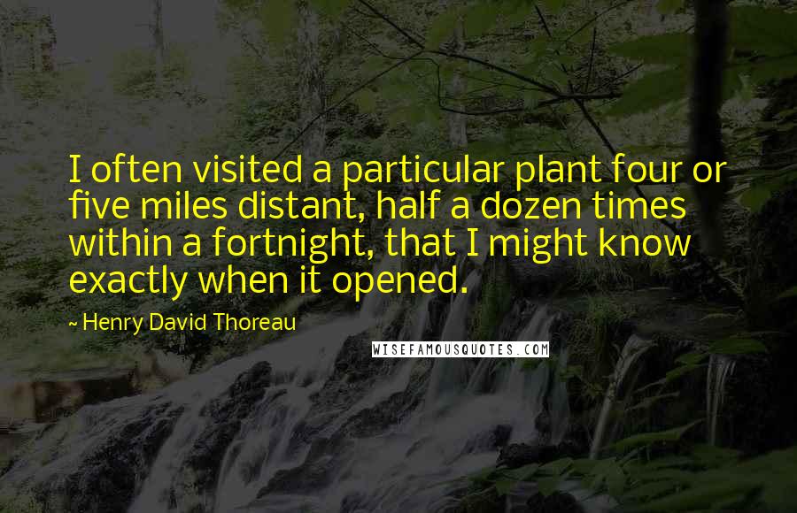 Henry David Thoreau Quotes: I often visited a particular plant four or five miles distant, half a dozen times within a fortnight, that I might know exactly when it opened.