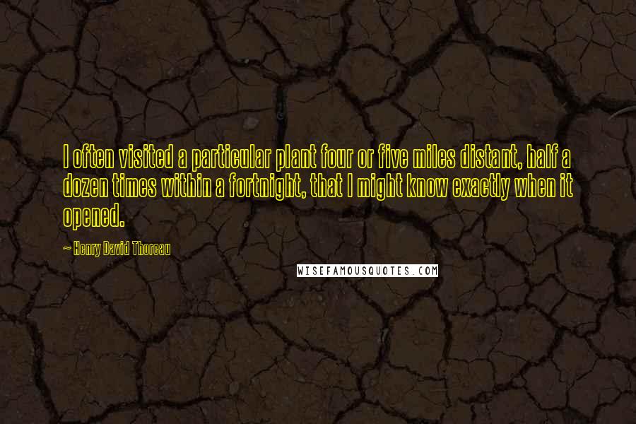 Henry David Thoreau Quotes: I often visited a particular plant four or five miles distant, half a dozen times within a fortnight, that I might know exactly when it opened.