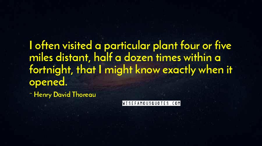 Henry David Thoreau Quotes: I often visited a particular plant four or five miles distant, half a dozen times within a fortnight, that I might know exactly when it opened.