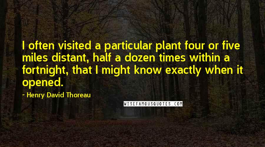 Henry David Thoreau Quotes: I often visited a particular plant four or five miles distant, half a dozen times within a fortnight, that I might know exactly when it opened.