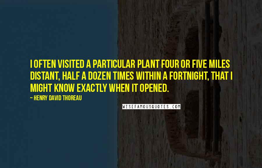 Henry David Thoreau Quotes: I often visited a particular plant four or five miles distant, half a dozen times within a fortnight, that I might know exactly when it opened.