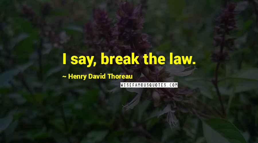 Henry David Thoreau Quotes: I say, break the law.