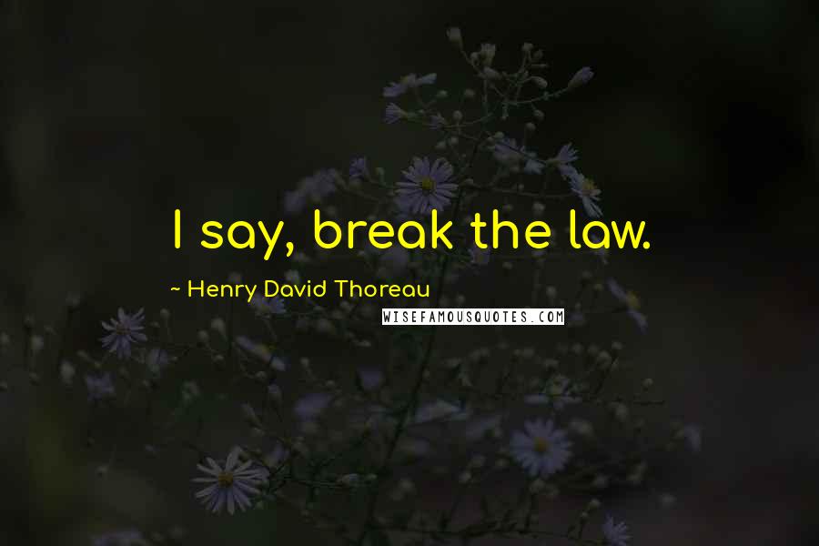 Henry David Thoreau Quotes: I say, break the law.