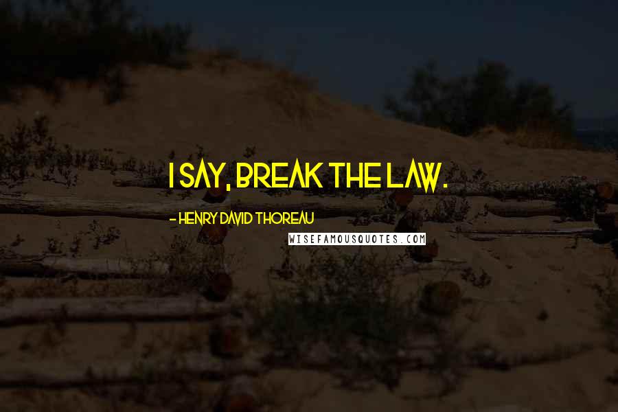 Henry David Thoreau Quotes: I say, break the law.