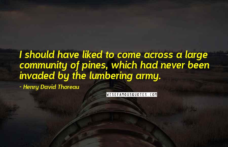 Henry David Thoreau Quotes: I should have liked to come across a large community of pines, which had never been invaded by the lumbering army.