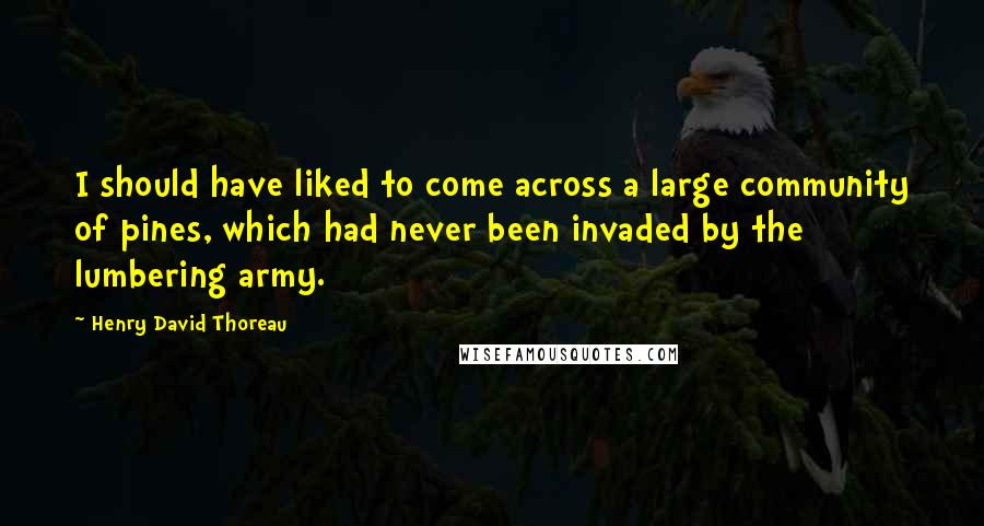 Henry David Thoreau Quotes: I should have liked to come across a large community of pines, which had never been invaded by the lumbering army.