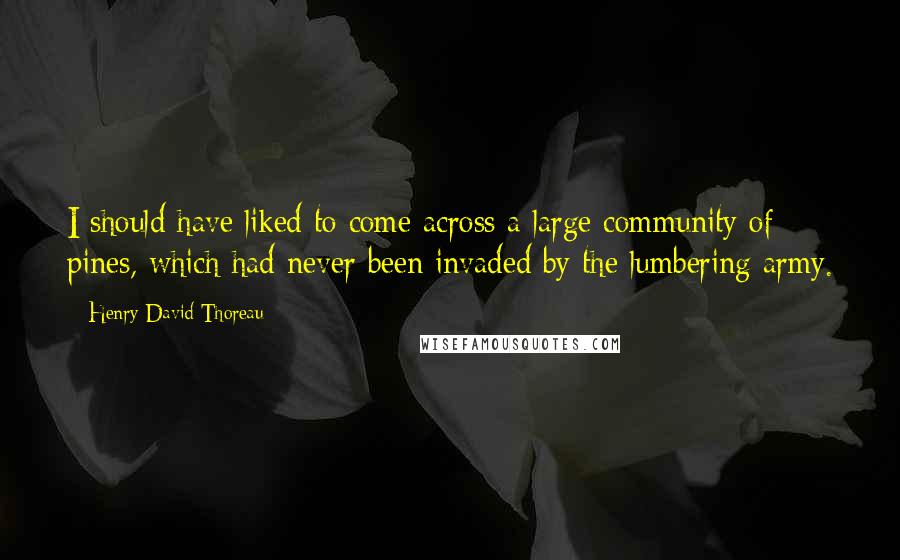 Henry David Thoreau Quotes: I should have liked to come across a large community of pines, which had never been invaded by the lumbering army.