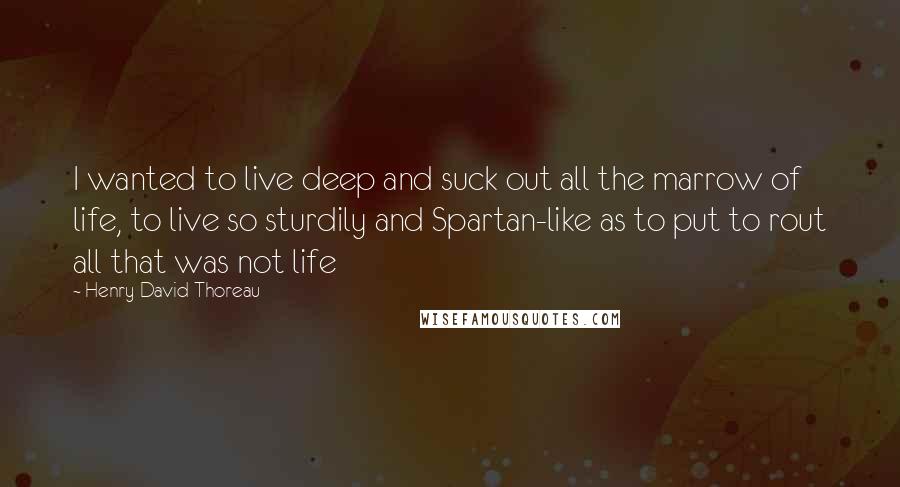 Henry David Thoreau Quotes: I wanted to live deep and suck out all the marrow of life, to live so sturdily and Spartan-like as to put to rout all that was not life