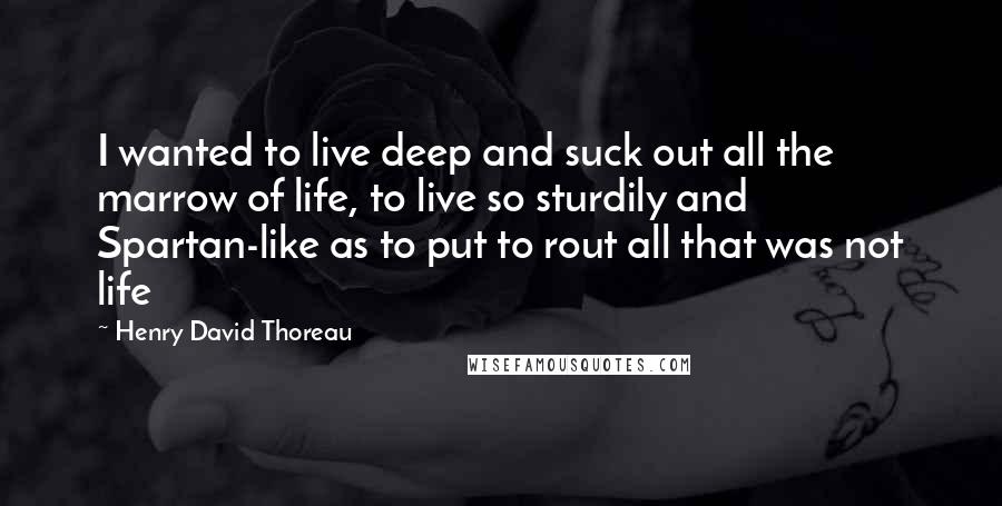 Henry David Thoreau Quotes: I wanted to live deep and suck out all the marrow of life, to live so sturdily and Spartan-like as to put to rout all that was not life