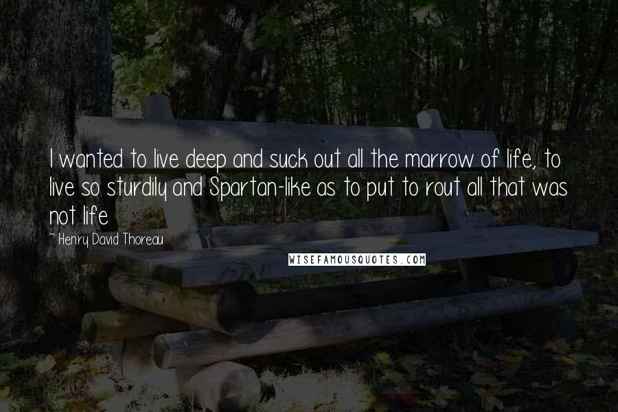 Henry David Thoreau Quotes: I wanted to live deep and suck out all the marrow of life, to live so sturdily and Spartan-like as to put to rout all that was not life