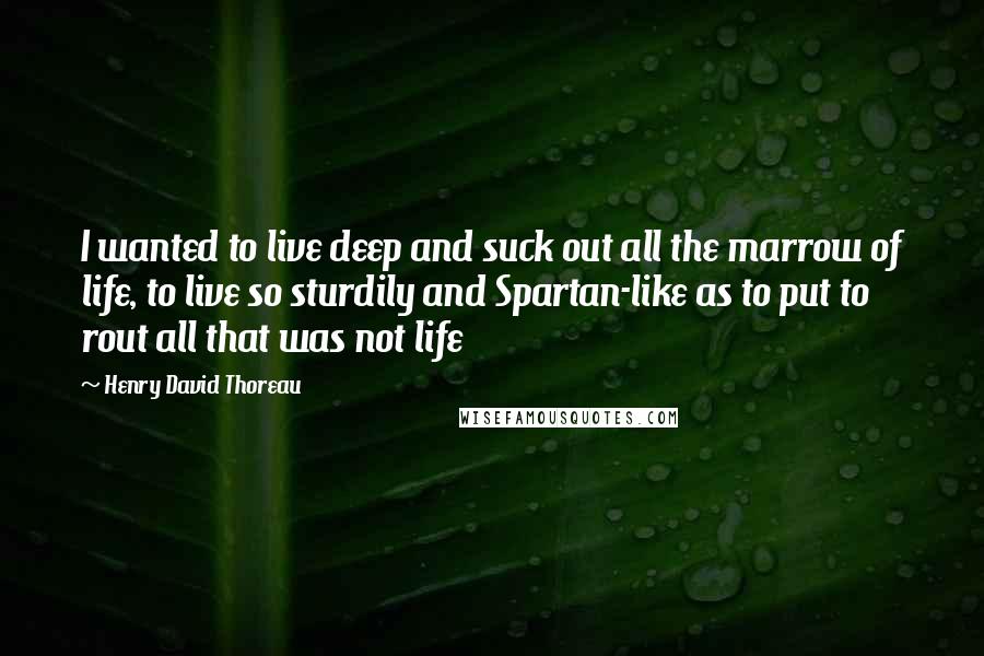 Henry David Thoreau Quotes: I wanted to live deep and suck out all the marrow of life, to live so sturdily and Spartan-like as to put to rout all that was not life