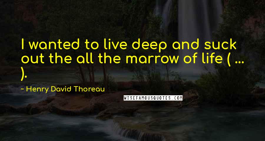 Henry David Thoreau Quotes: I wanted to live deep and suck out the all the marrow of life ( ... ).