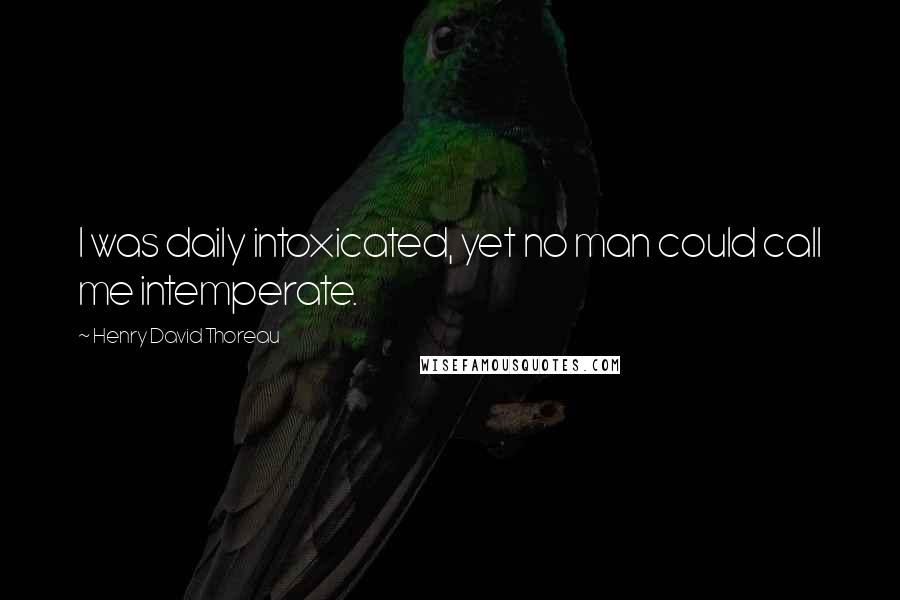 Henry David Thoreau Quotes: I was daily intoxicated, yet no man could call me intemperate.