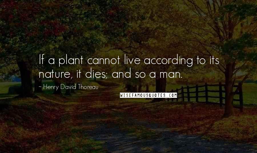 Henry David Thoreau Quotes: If a plant cannot live according to its nature, it dies; and so a man.