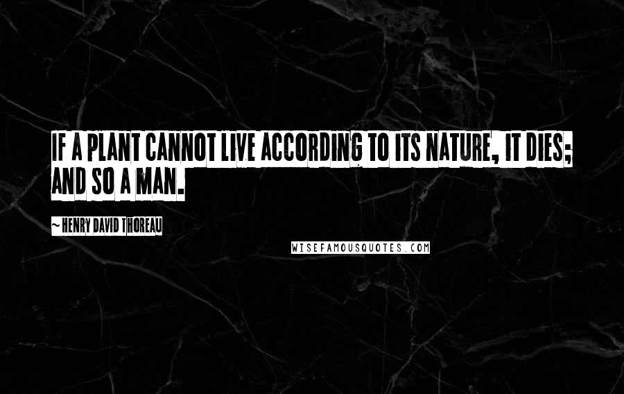 Henry David Thoreau Quotes: If a plant cannot live according to its nature, it dies; and so a man.