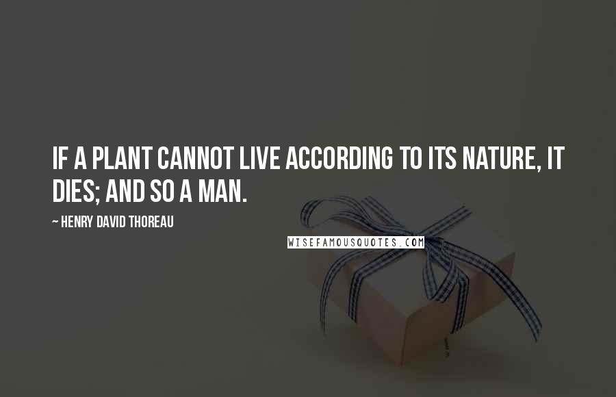 Henry David Thoreau Quotes: If a plant cannot live according to its nature, it dies; and so a man.