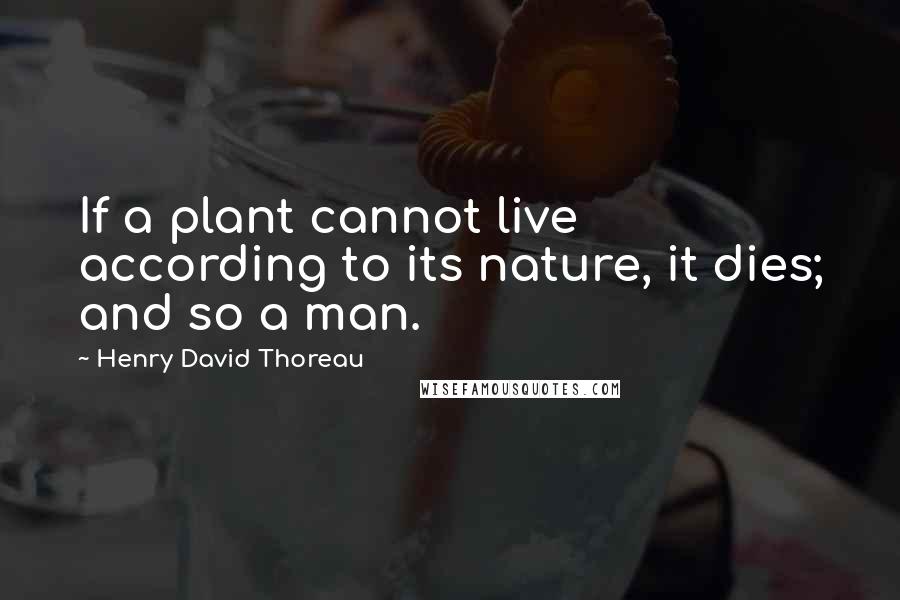 Henry David Thoreau Quotes: If a plant cannot live according to its nature, it dies; and so a man.