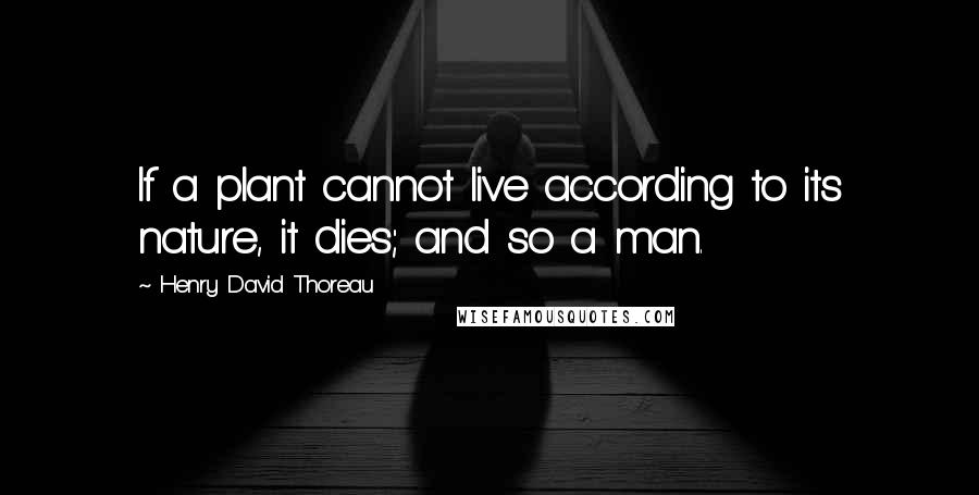 Henry David Thoreau Quotes: If a plant cannot live according to its nature, it dies; and so a man.