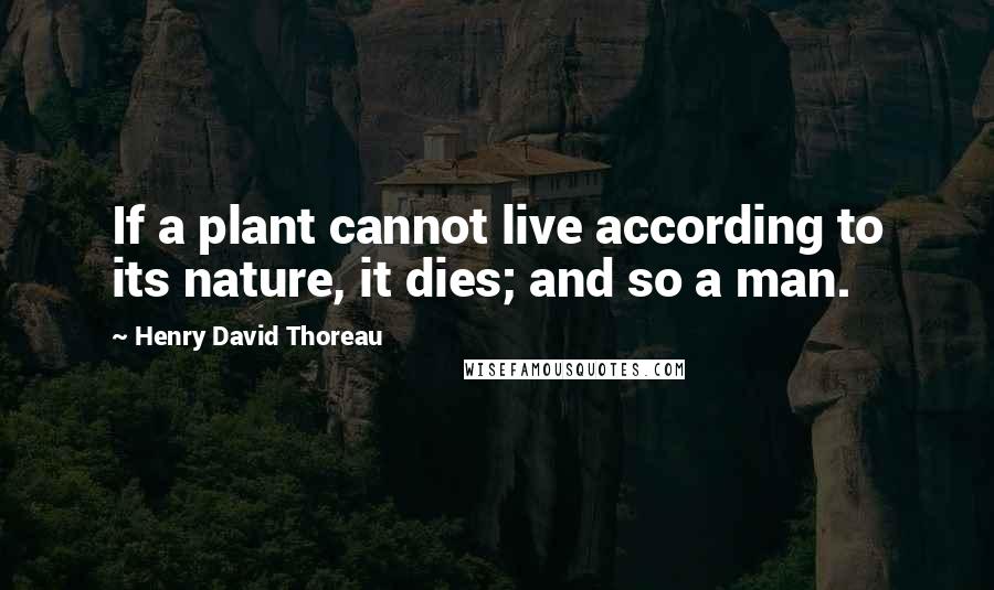 Henry David Thoreau Quotes: If a plant cannot live according to its nature, it dies; and so a man.