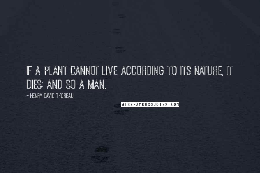 Henry David Thoreau Quotes: If a plant cannot live according to its nature, it dies; and so a man.