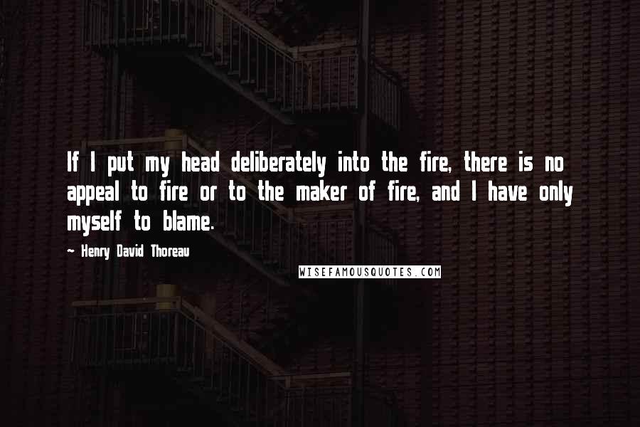 Henry David Thoreau Quotes: If I put my head deliberately into the fire, there is no appeal to fire or to the maker of fire, and I have only myself to blame.