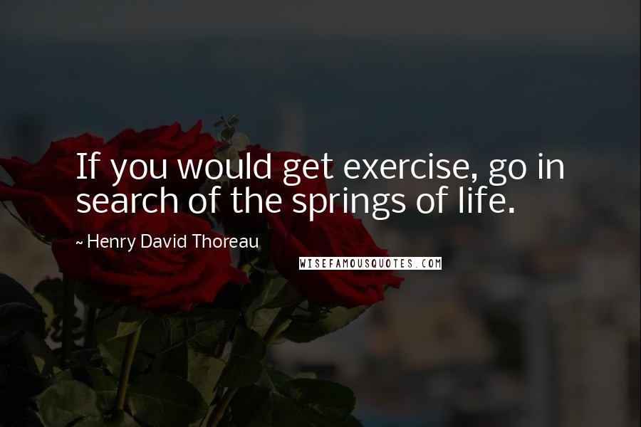 Henry David Thoreau Quotes: If you would get exercise, go in search of the springs of life.