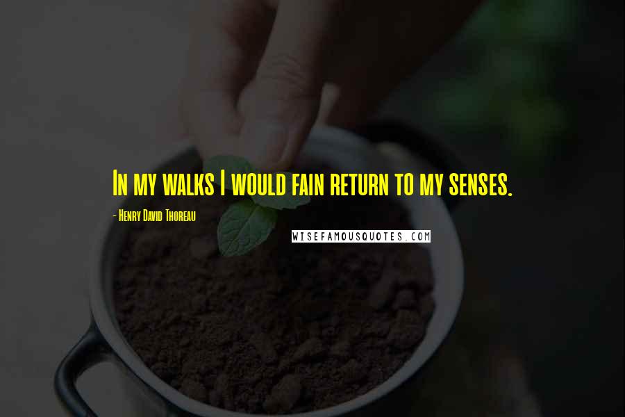 Henry David Thoreau Quotes: In my walks I would fain return to my senses.