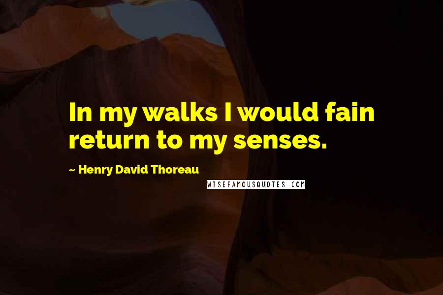 Henry David Thoreau Quotes: In my walks I would fain return to my senses.
