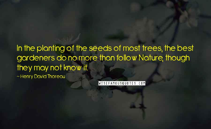 Henry David Thoreau Quotes: In the planting of the seeds of most trees, the best gardeners do no more than follow Nature, though they may not know it.