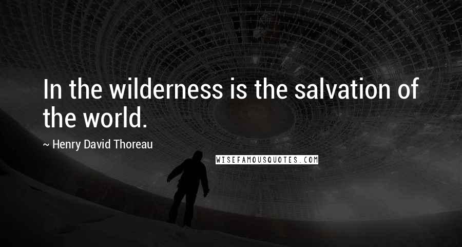 Henry David Thoreau Quotes: In the wilderness is the salvation of the world.