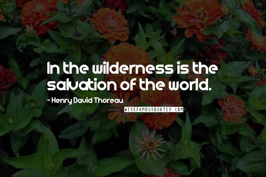 Henry David Thoreau Quotes: In the wilderness is the salvation of the world.