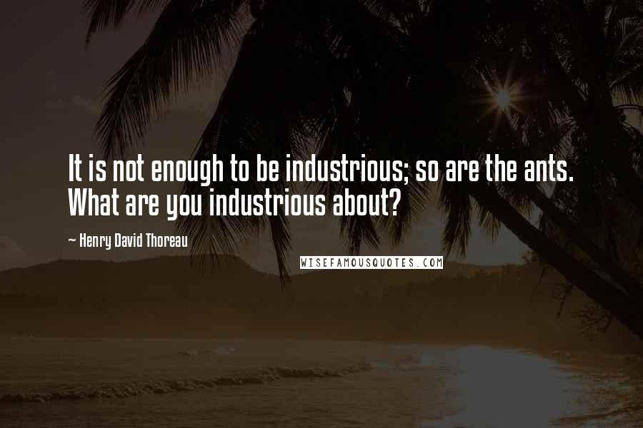 Henry David Thoreau Quotes: It is not enough to be industrious; so are the ants. What are you industrious about?