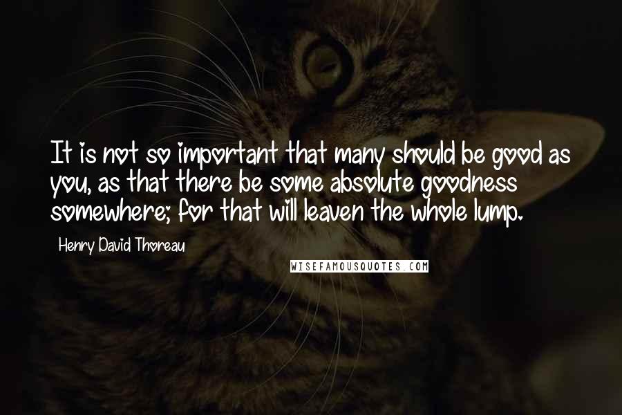 Henry David Thoreau Quotes: It is not so important that many should be good as you, as that there be some absolute goodness somewhere; for that will leaven the whole lump.