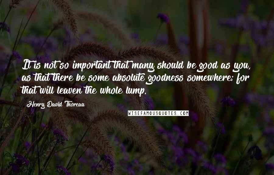 Henry David Thoreau Quotes: It is not so important that many should be good as you, as that there be some absolute goodness somewhere; for that will leaven the whole lump.