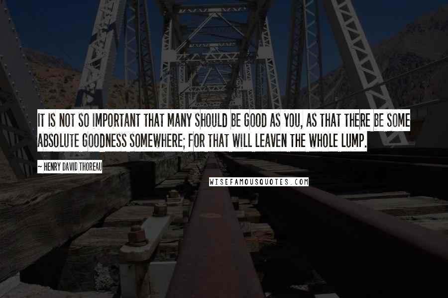 Henry David Thoreau Quotes: It is not so important that many should be good as you, as that there be some absolute goodness somewhere; for that will leaven the whole lump.