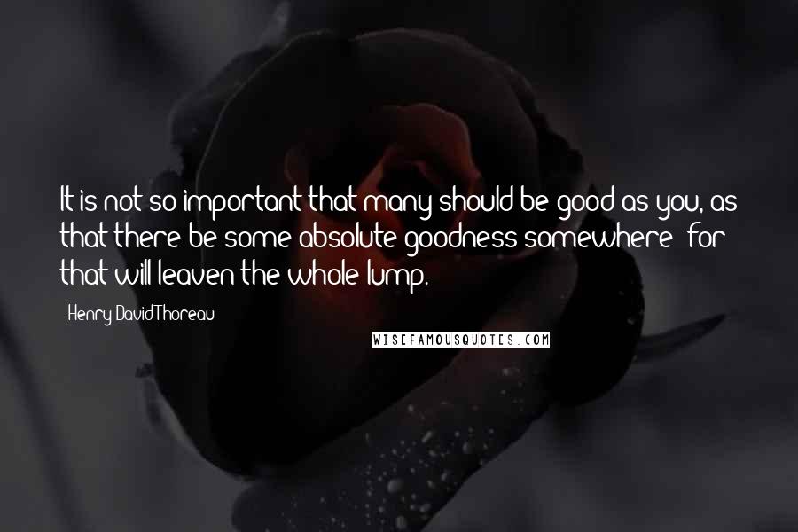 Henry David Thoreau Quotes: It is not so important that many should be good as you, as that there be some absolute goodness somewhere; for that will leaven the whole lump.